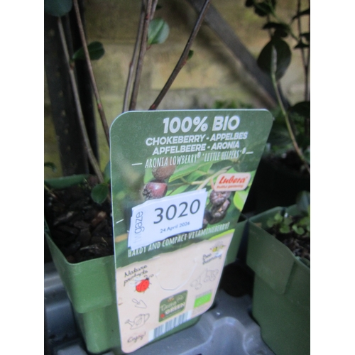 Lot 3020      