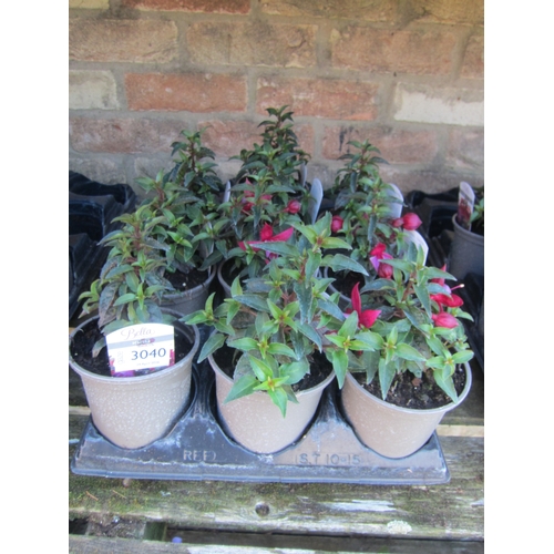 Lot 3040      