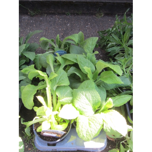 Lot 3060      