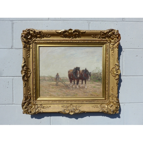 Lot 9013      