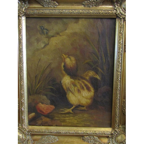 1063 - Two oleographs, chicks with mouse in a bowl and duckling looking at fly, after Edgar Hunt, both gilt... 