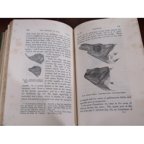 1078 - Charles Darwin: 'The Descent of Man', London, John Murray, 1901, new edition, original cloth gilt