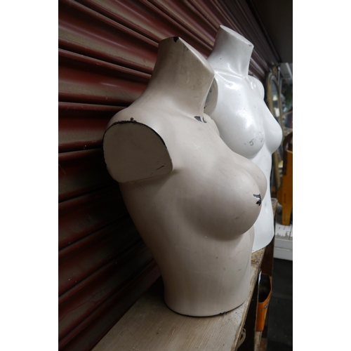 2031 - Two female mannequin torsos