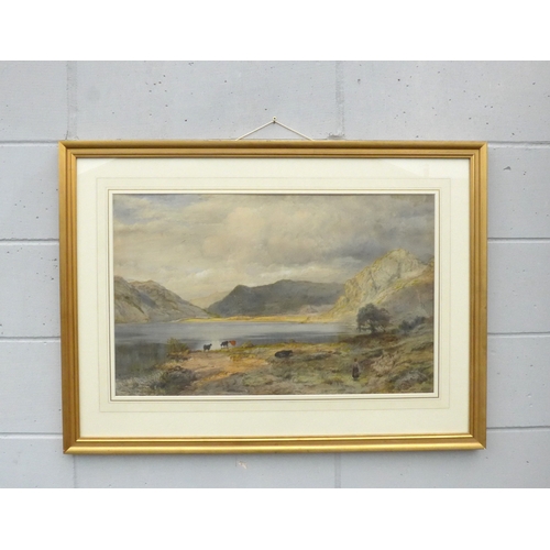 Lot 9005      