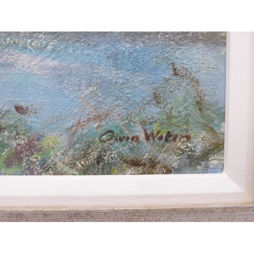 9010 - OWEN WATERS (1916-2004) A framed oil on board, Clippesby Mill. Signed bottom right, details verso. I... 