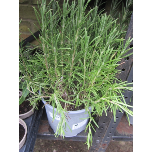 Lot 3022      
