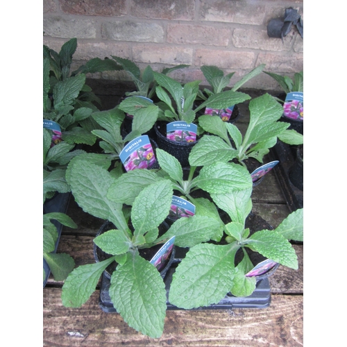 Lot 3046      
