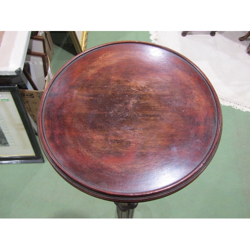 4035 - A Georgian mahogany torchere stand, the circular top over a pillar column on an acanthus leaf carved... 