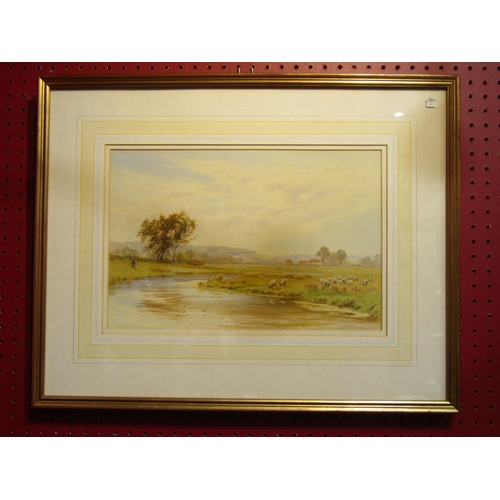 Lot 4037      