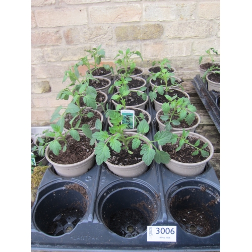 Lot 3006      