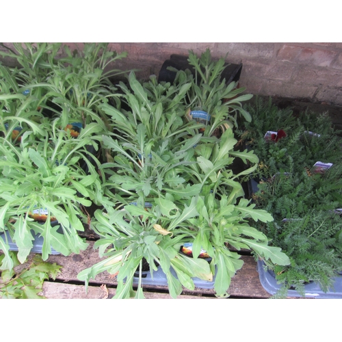Lot 3047      