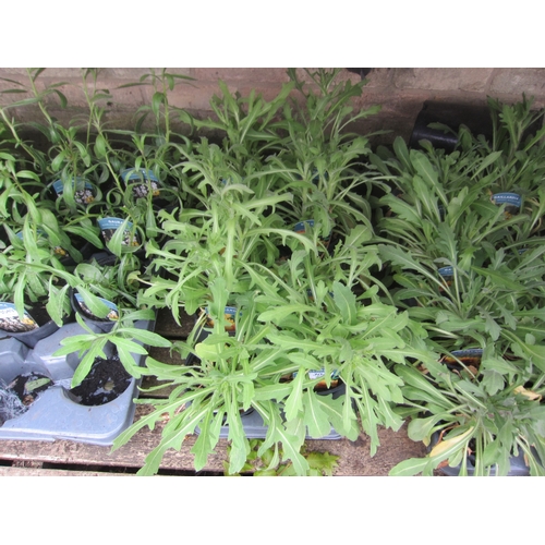 Lot 3048      