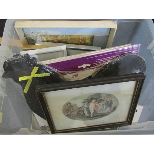 Lot 1031      