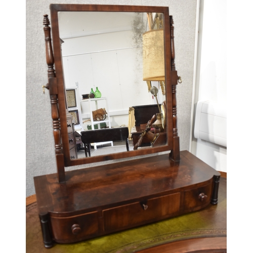 Lot 4040      