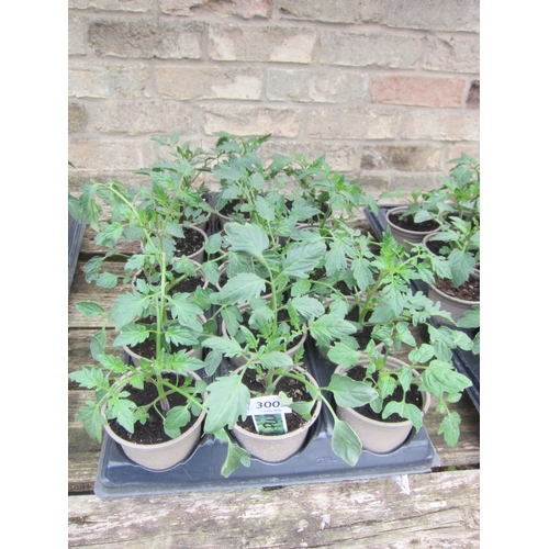 Lot 3005      