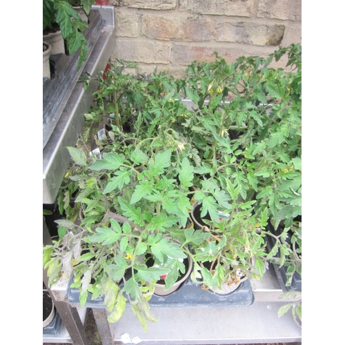 Lot 3008      
