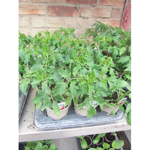 Lot 3010      