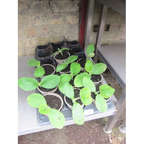 Lot 3013      