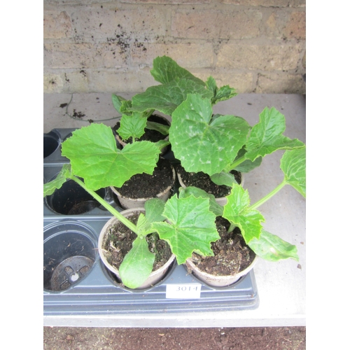 Lot 3014      