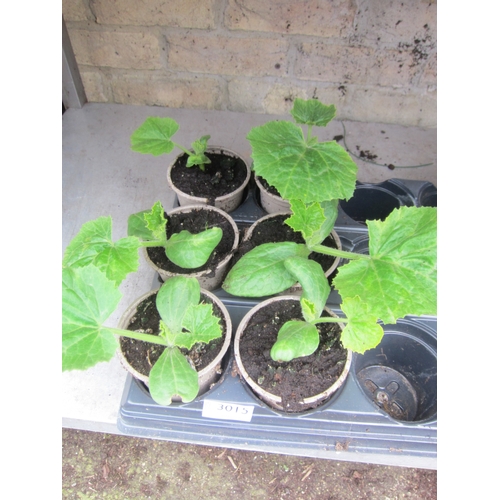 Lot 3015      