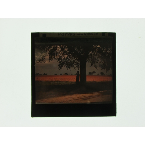 7027 - (England, Local Scenes, Pubs, Inns, Landscapes, Nature) A large collection of 20th Century diapositi... 