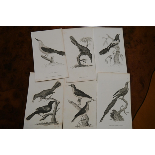 Lot 2057      