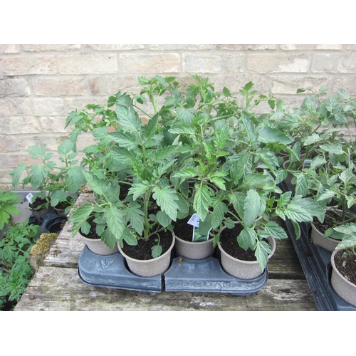 Lot 3006      