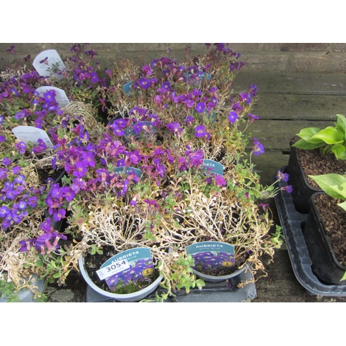 Lot 3054      
