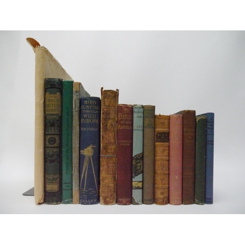 Lot 9048      