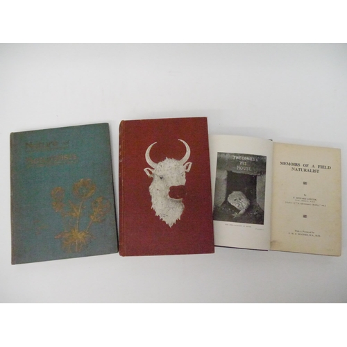 Lot 9053      