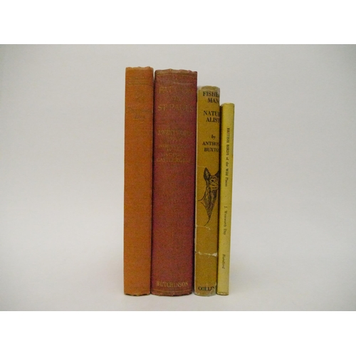 Lot 9054      