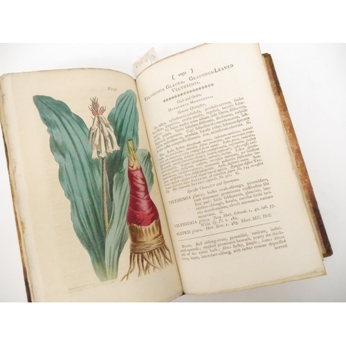 9067 - (Botany.) William Curtis and others: 'Curtis's Botanical Magazine or Flower Garden Displayed', Londo... 
