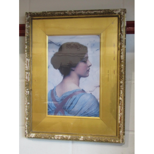 Lot 1014      