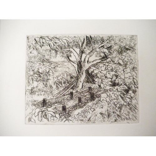 9214 - (Private press.) Jennifer Holland; Claerwen Holland (illustrated): ‘Images in Ink. Poems by Jennifer... 