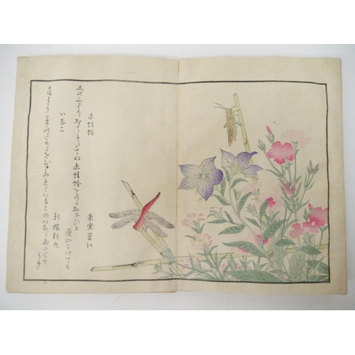 9227 - (Ukiyo-e.) Kitagawa Utamaro (illustrator, Japanese, 1753-1806). ‘Ehon mushi erami [Picture book of S... 