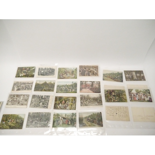 9110 - A collection of approx. 85 postcards of hop picking, mainly early 20th Century, small number of real... 