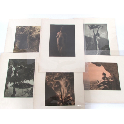 Lot 7049      