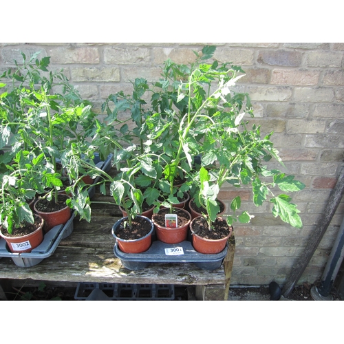 Lot 3001      