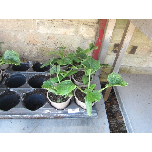 Lot 3014      