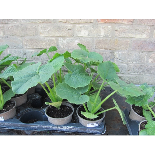 Lot 3018      