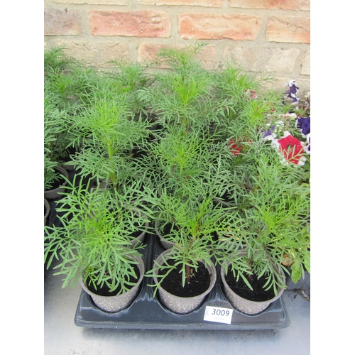Lot 3009      