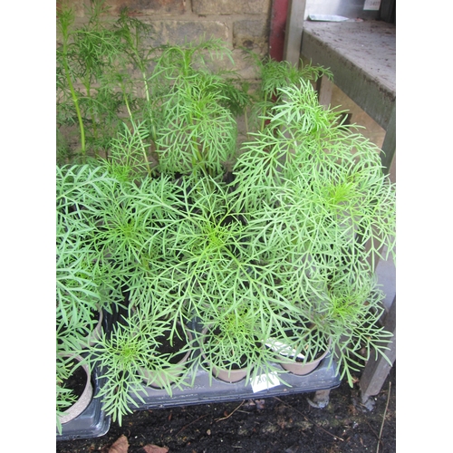 Lot 3011      