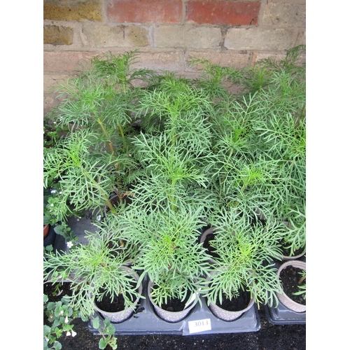 Lot 3013      