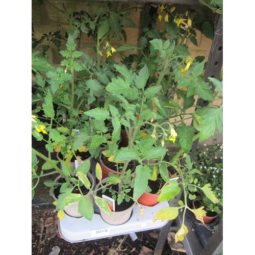 Lot 3018      