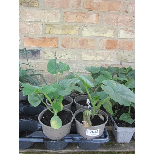 Lot 3032      