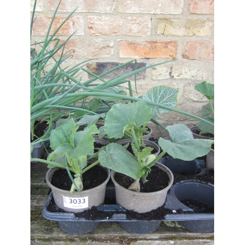 Lot 3033      