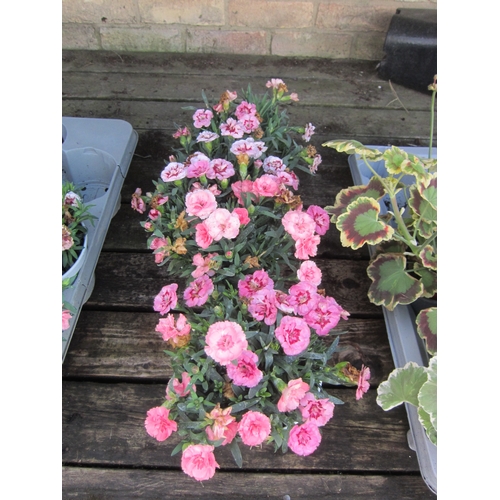 Lot 3051      
