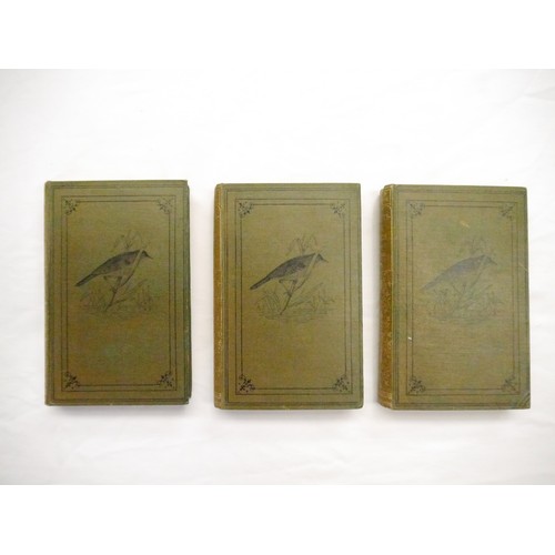 9059 - John Cotton; Robert Tyas: 'Beautiful Birds Described. Edited from the Manuscript of John Cotton, F.Z... 