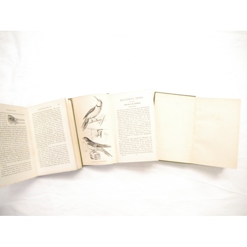 9059 - John Cotton; Robert Tyas: 'Beautiful Birds Described. Edited from the Manuscript of John Cotton, F.Z... 