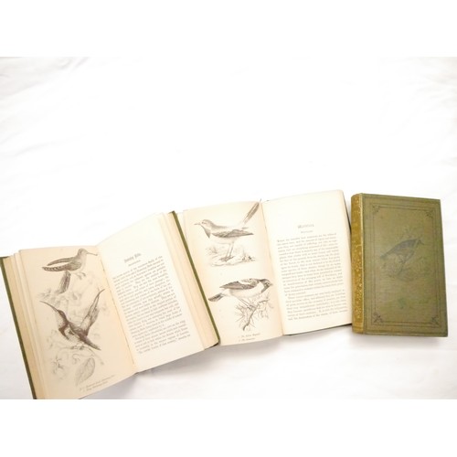 9059 - John Cotton; Robert Tyas: 'Beautiful Birds Described. Edited from the Manuscript of John Cotton, F.Z... 